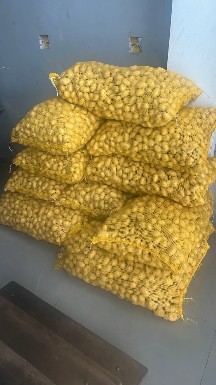 Sacos de batatas selecionadas para a produção da Rústika